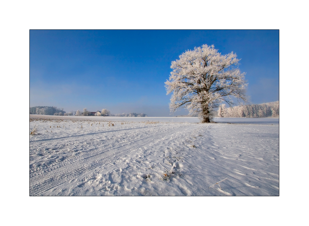 Väterchen Frost