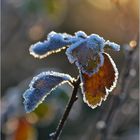 Väterchen Frost   . . .