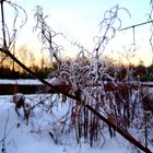 Väterchen Frost