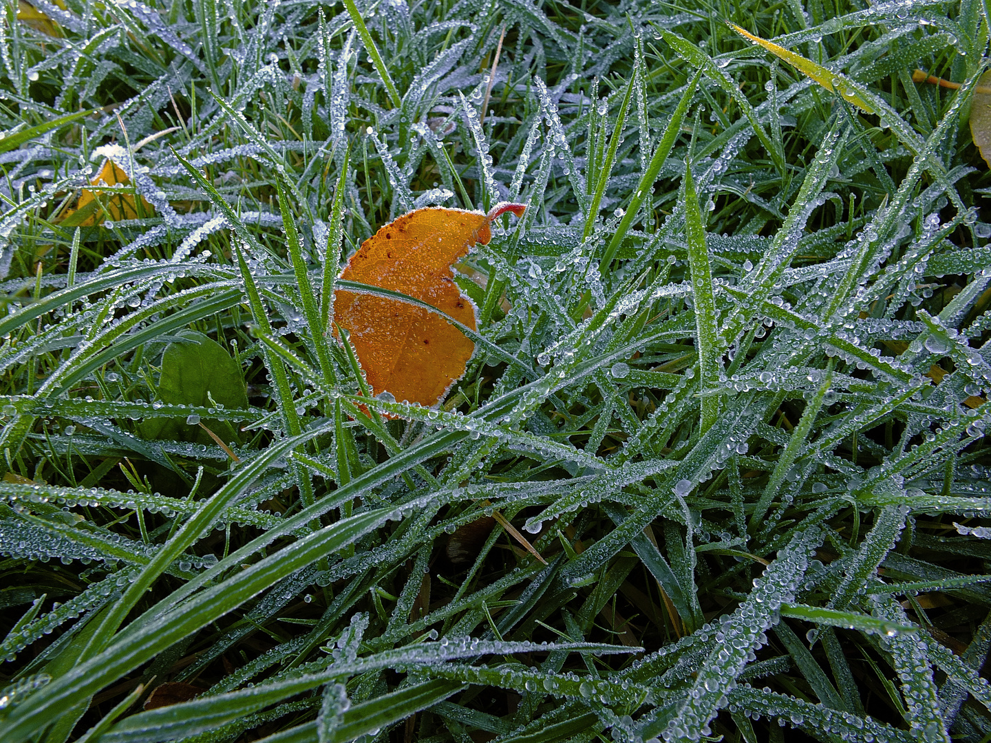 Väterchen Frost