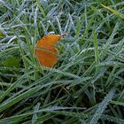 Väterchen Frost