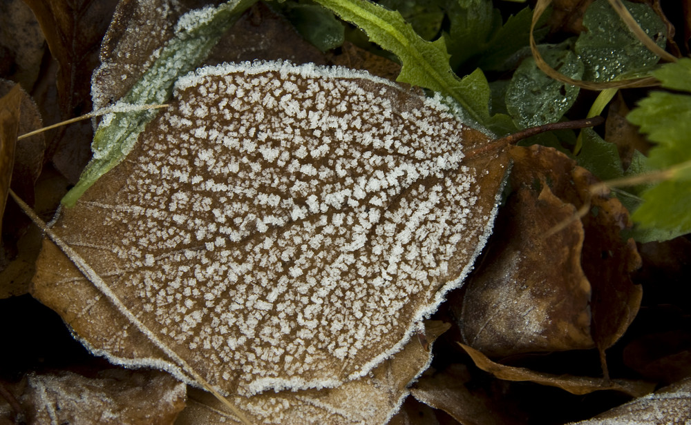 Väterchen Frost 2