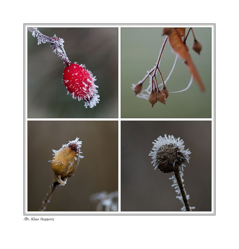 Väterchen Frost (2)