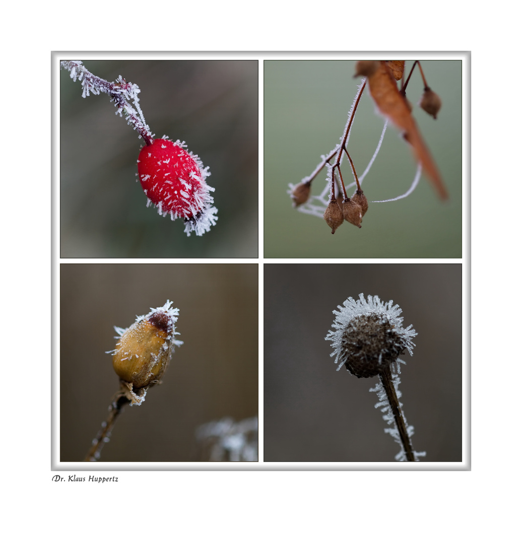 Väterchen Frost (2)