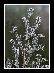 Väterchen Frost 2