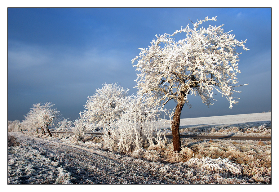 Väterchen Frost