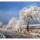 Väterchen Frost