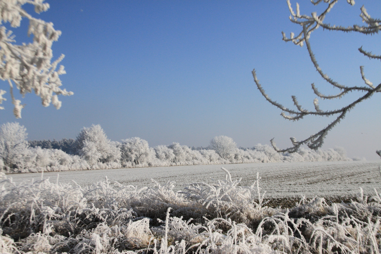 Väterchen Frost