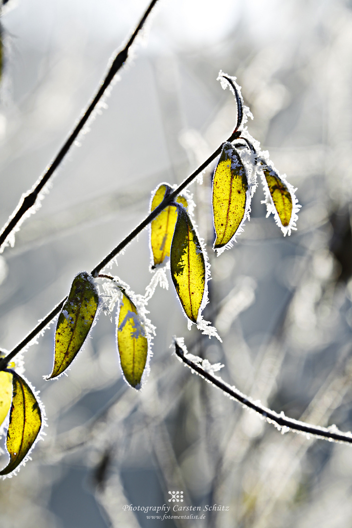 Väterchen Frost