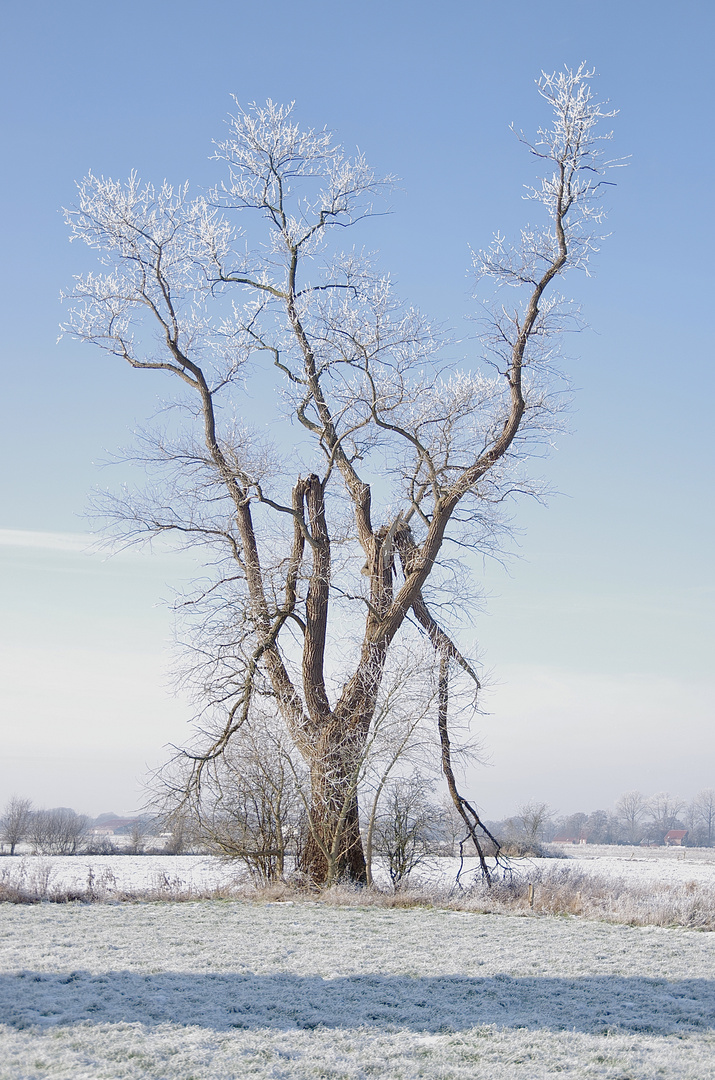 Väterchen Frost...