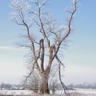 Väterchen Frost...