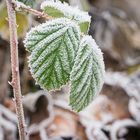 Väterchen Frost