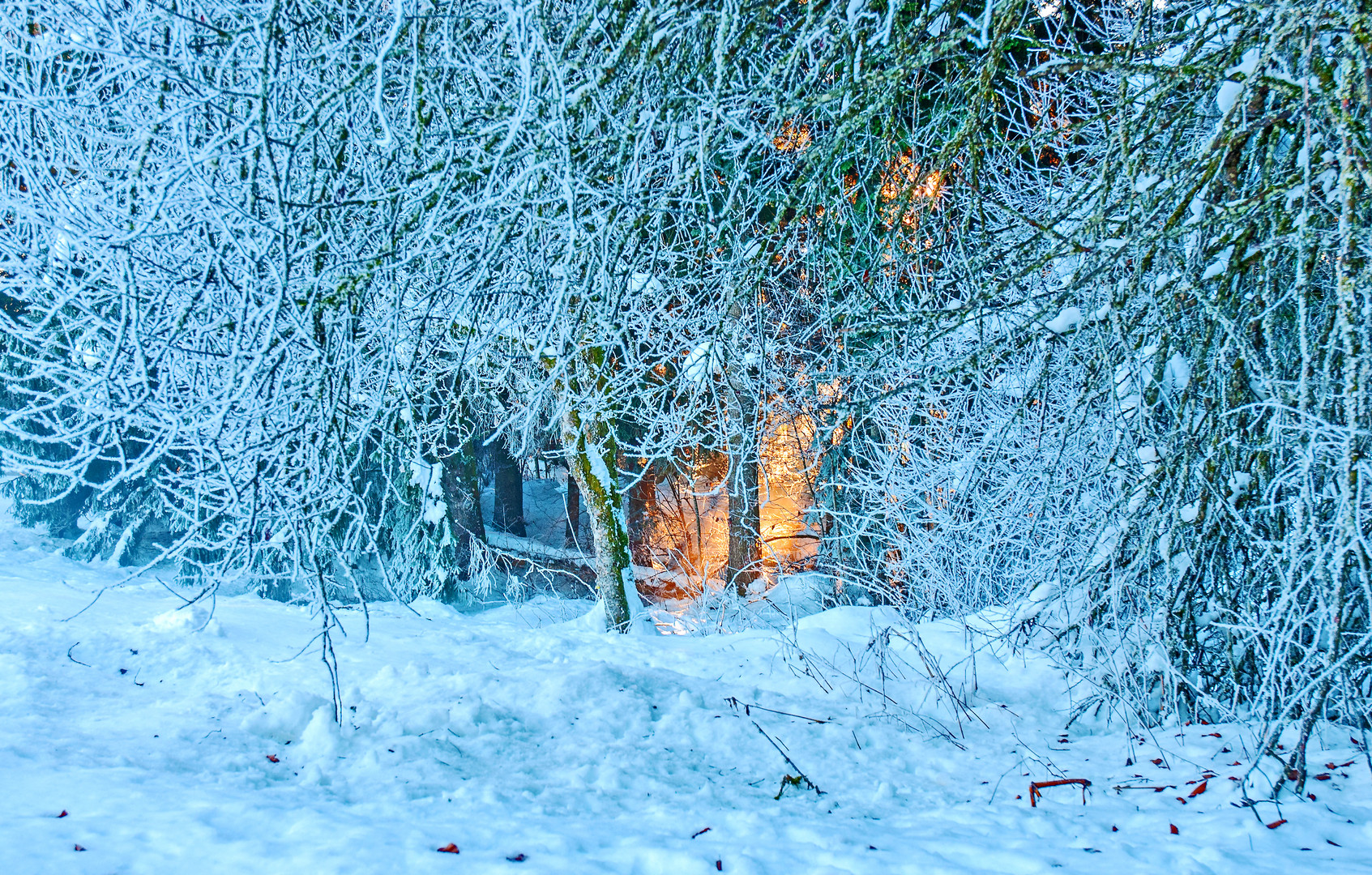 Väterchen Frost