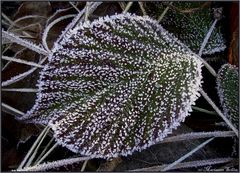 Väterchen Frost...