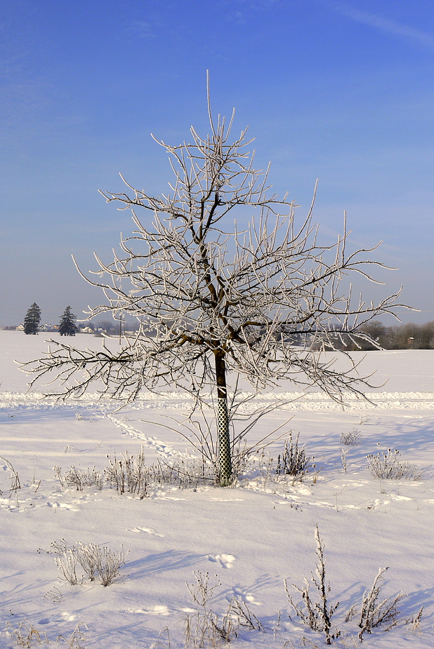 Väterchen Frost