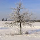 Väterchen Frost