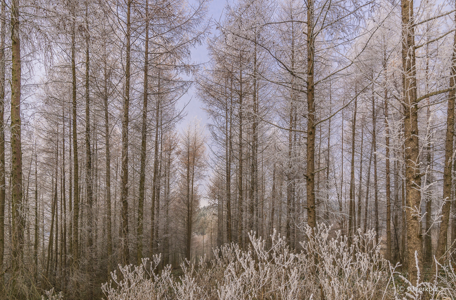 " Väterchen Frost"