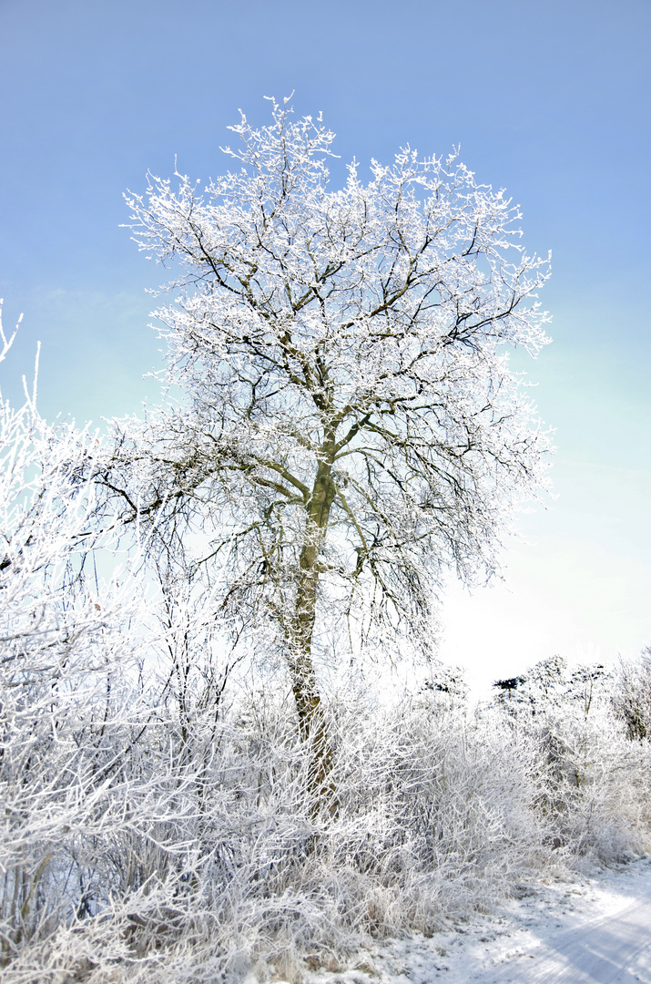 Väterchen Frost…