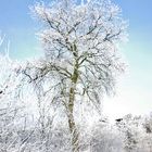 Väterchen Frost…