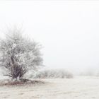 Väterchen Frost ...