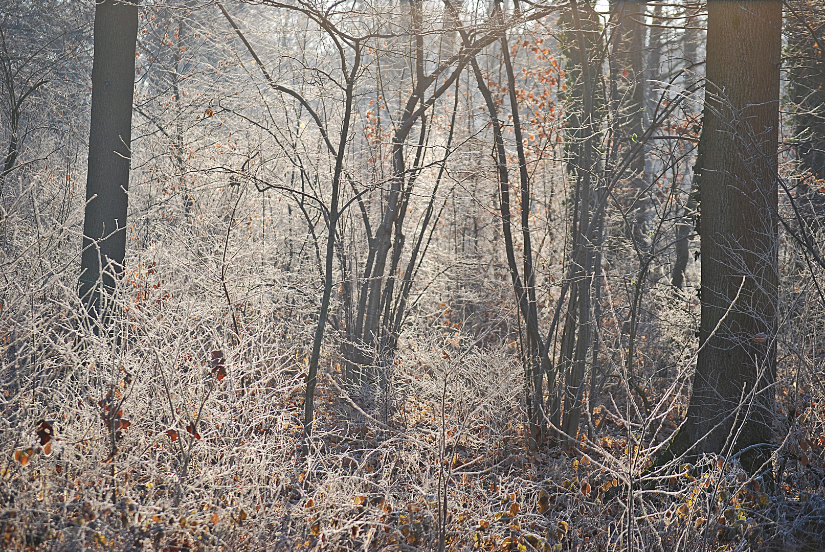 Väterchen Frost...