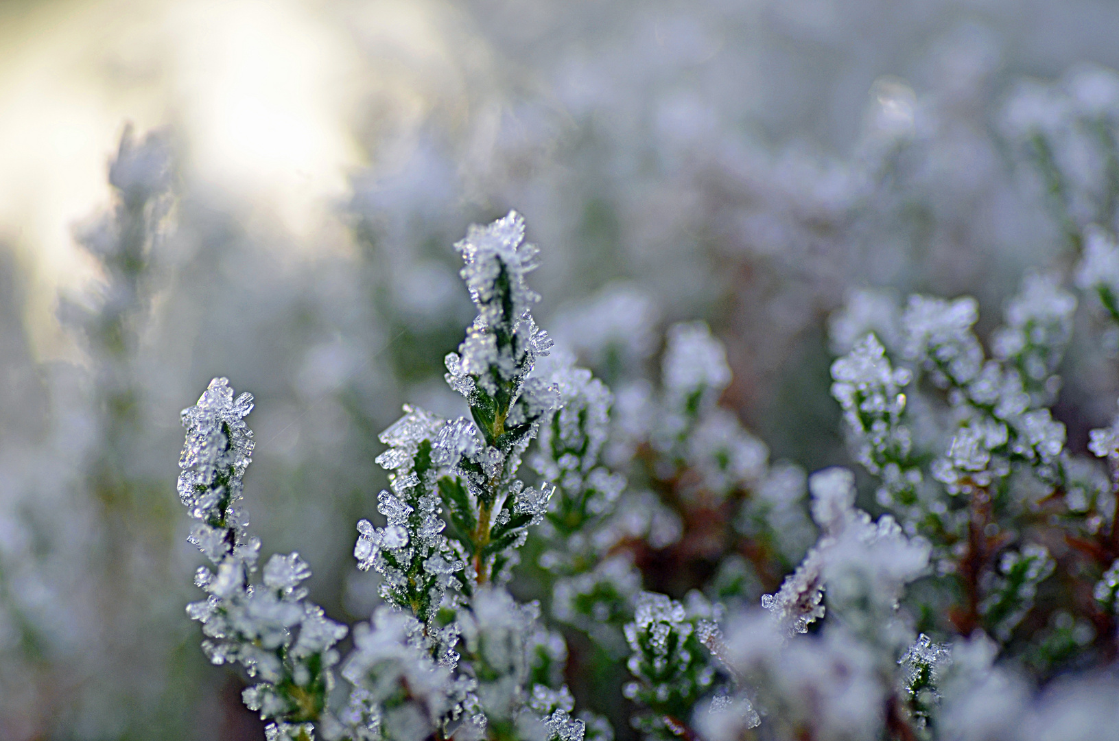 Väterchen Frost *