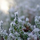 Väterchen Frost *