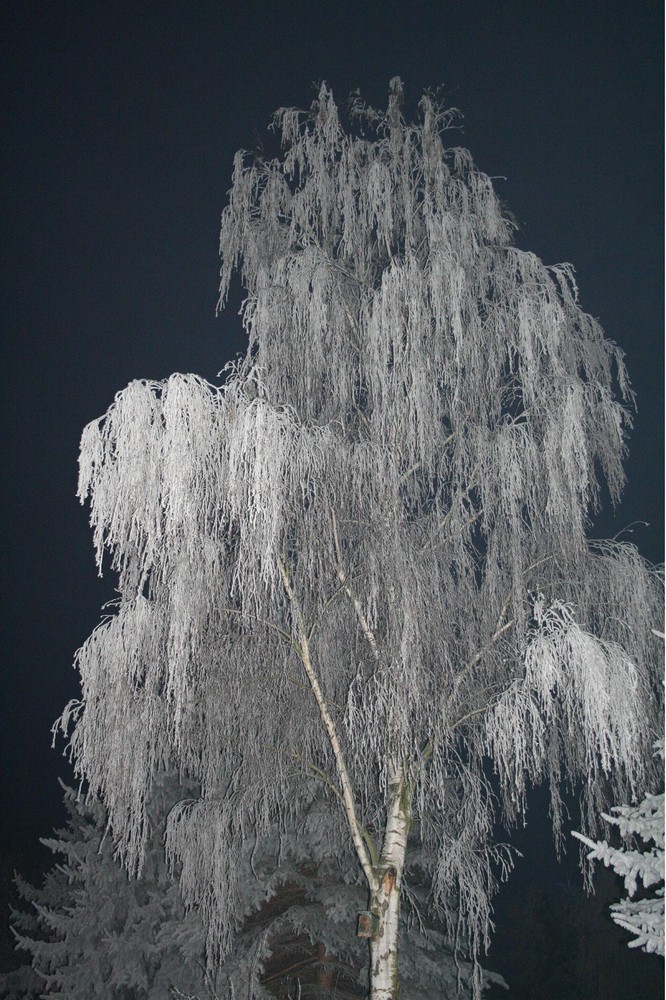 Väterchen Frost