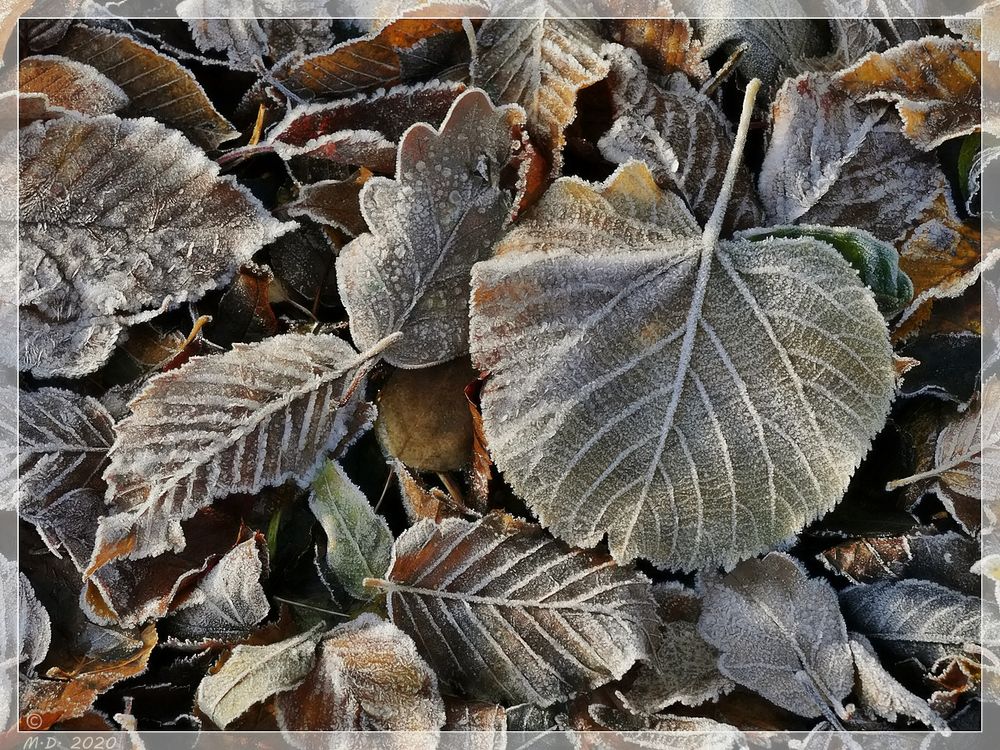 Väterchen Frost ...