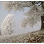 Väterchen Frost...