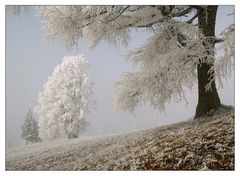 Väterchen Frost...