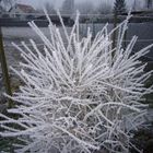 Väterchen Frost