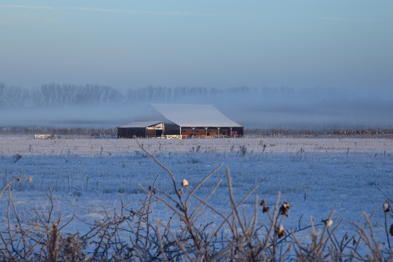 Väterchen "Frost"