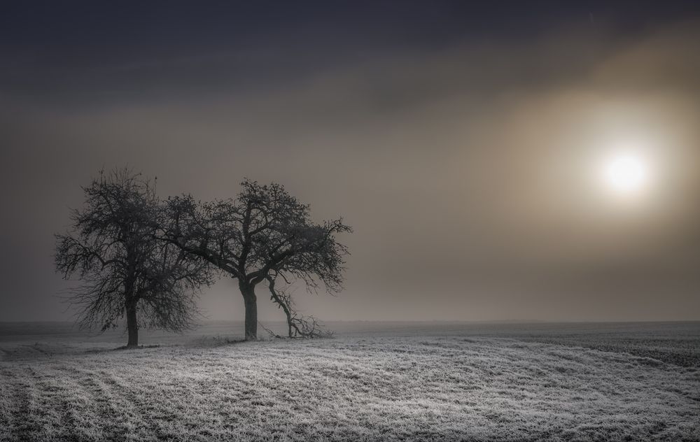 Väterchen Frost