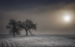 Väterchen Frost