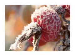 Väterchen Frost