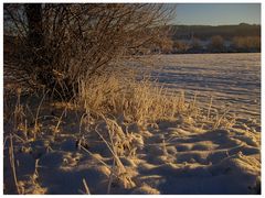 Väterchen Frost