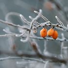 väterchen frost....