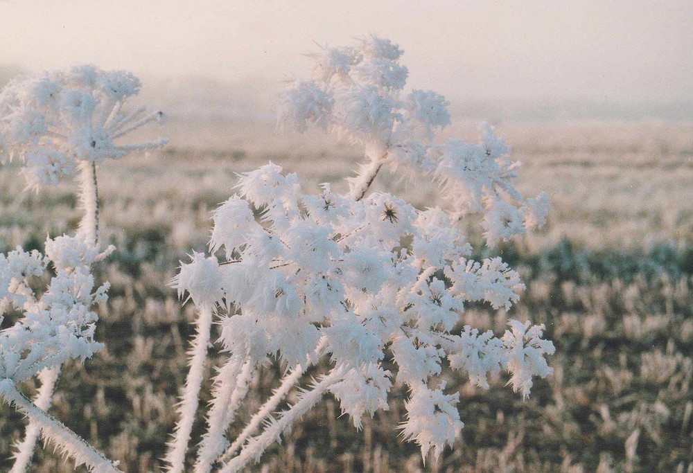 Väterchen Frost...