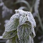 Väterchen Frost...