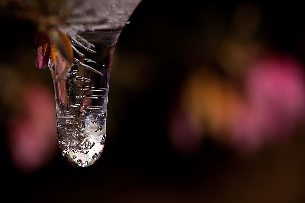 Väterchen Frost