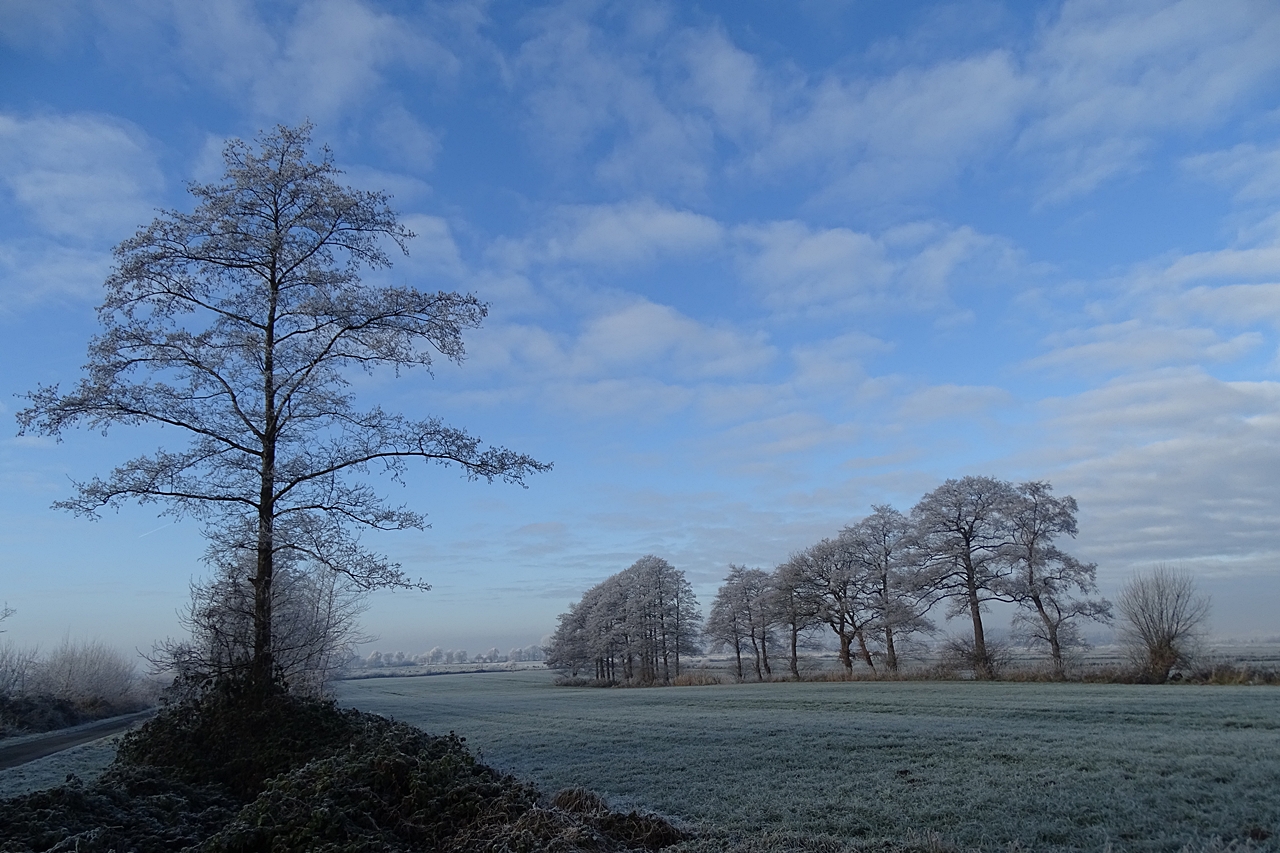 Väterchen Frost