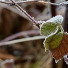 Väterchen Frost