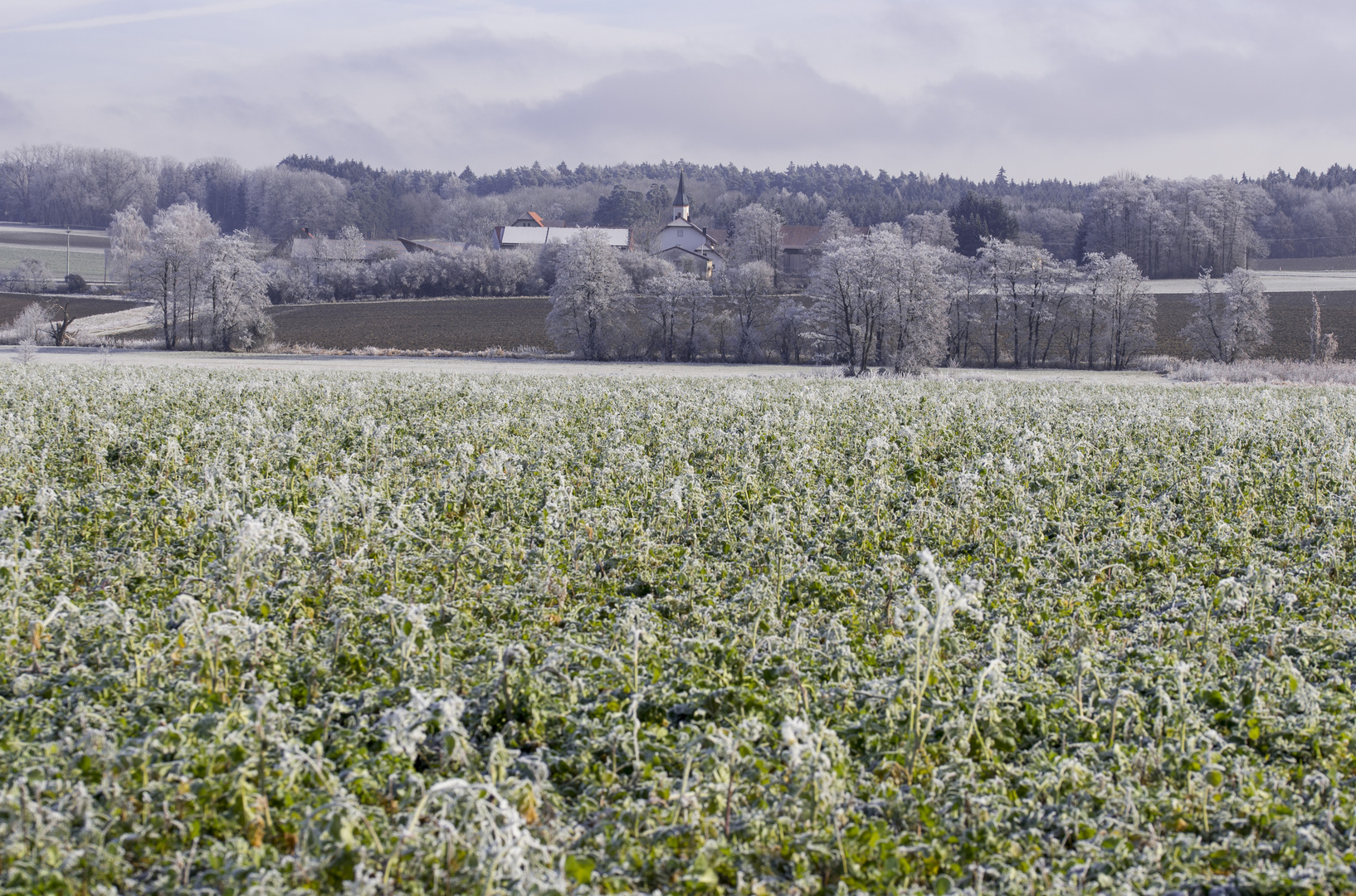 Väterchen Frost