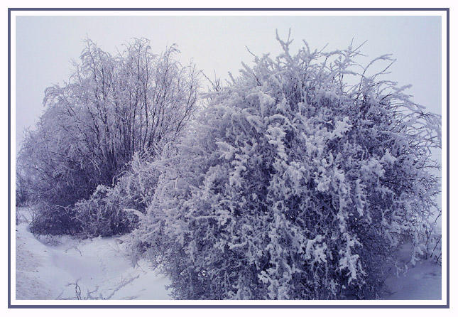 Väterchen Frost