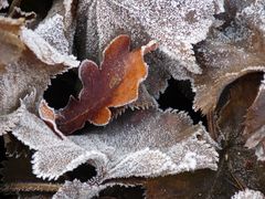 Väterchen Frost