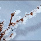 Väterchen Frost....