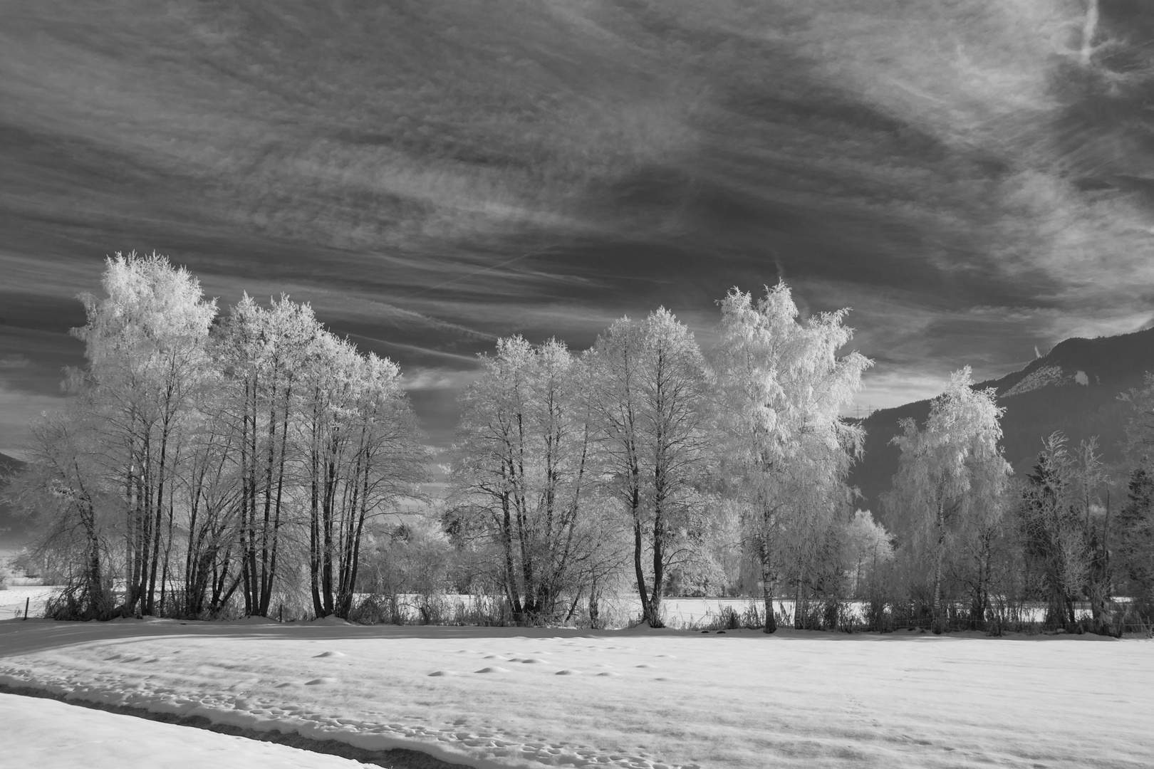 Väterchen Frost