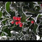 Väterchen Frost