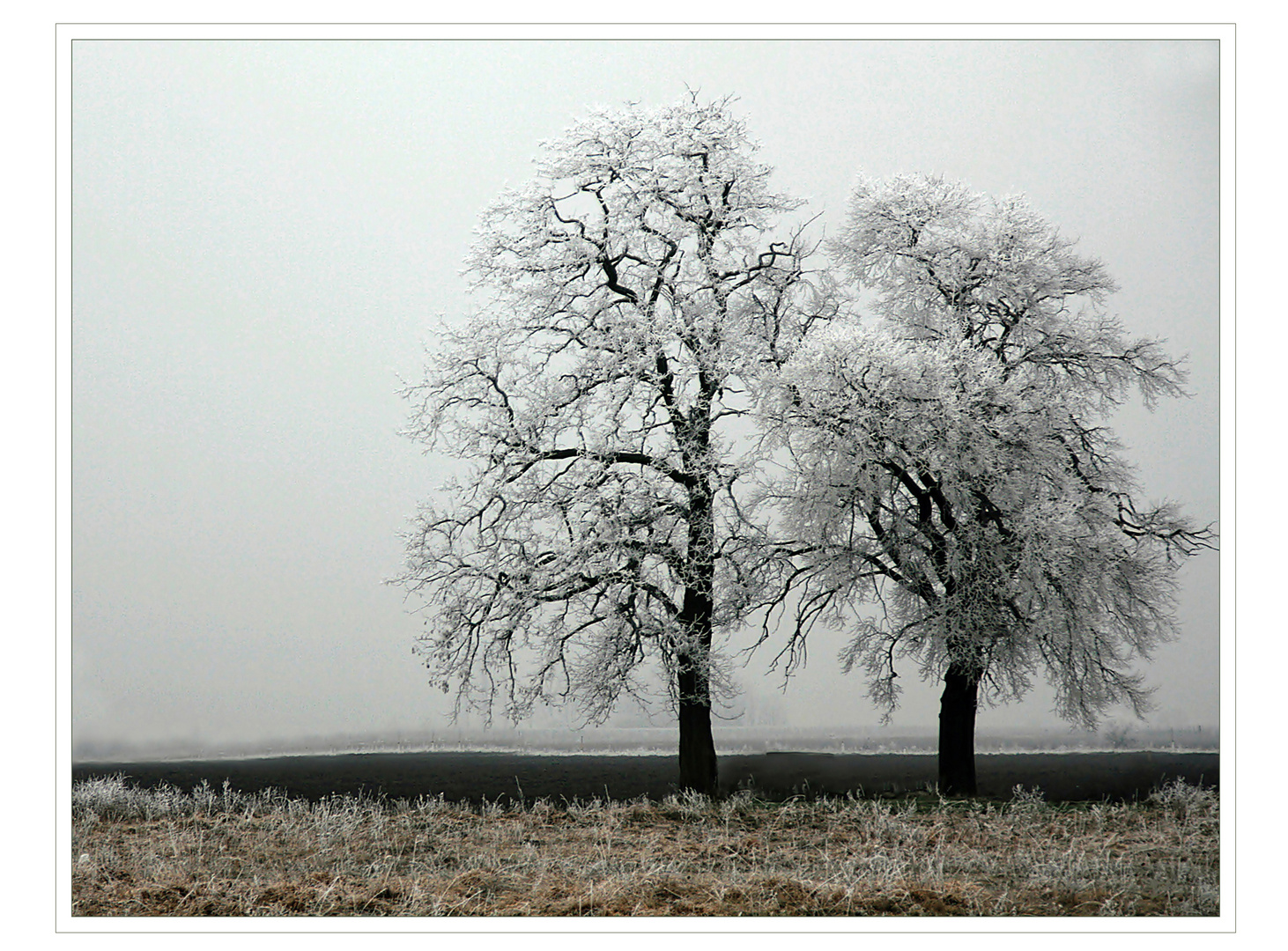 Väterchen Frost